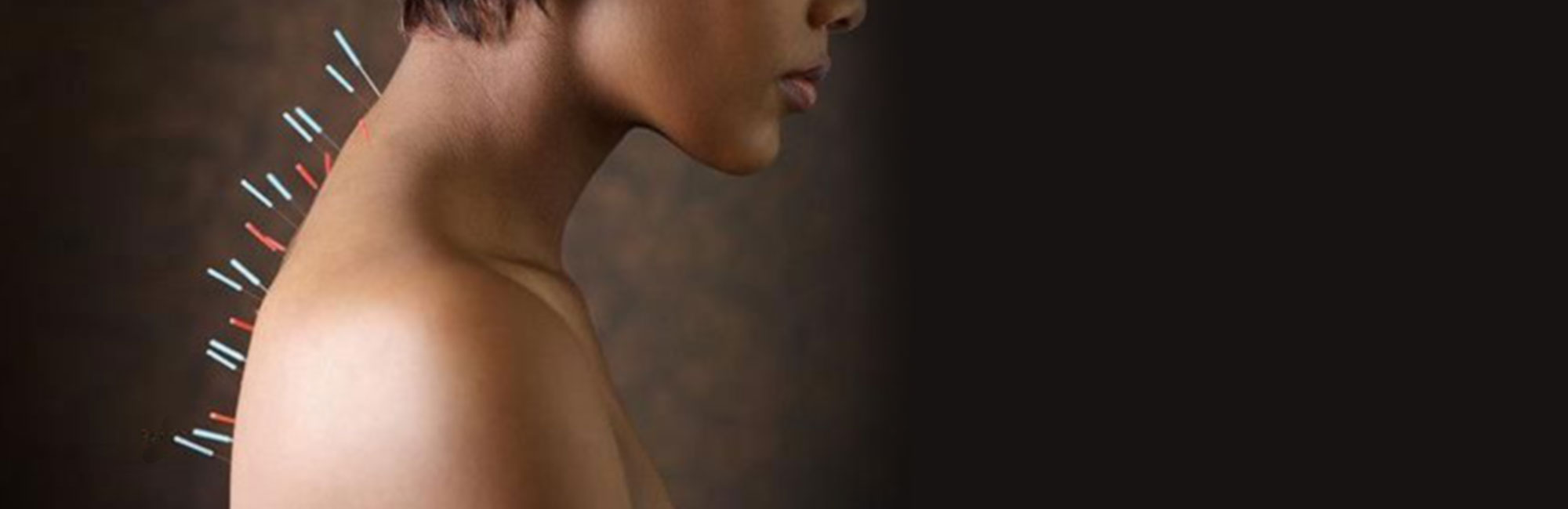 agopuntura-energetica-slide-wide