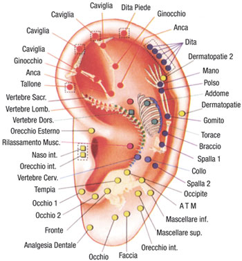 auricoloterapia-dettaglio